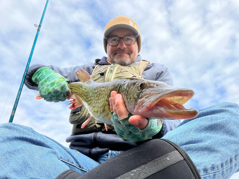 pickerel in the chesapeake