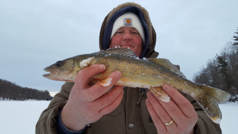 walleye caught ice fishing
