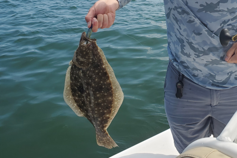southern Virginia flounder fishing