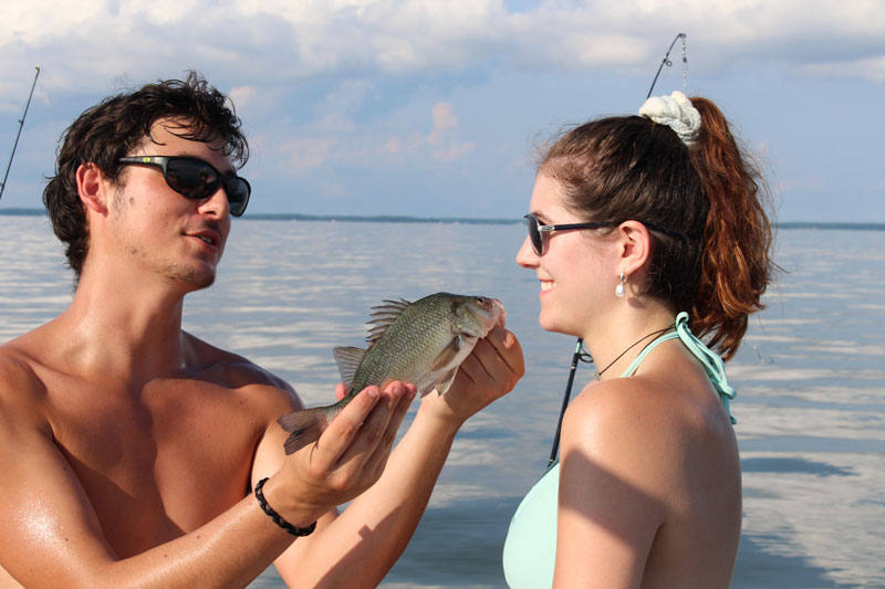 White Perch Fishing for Beginners