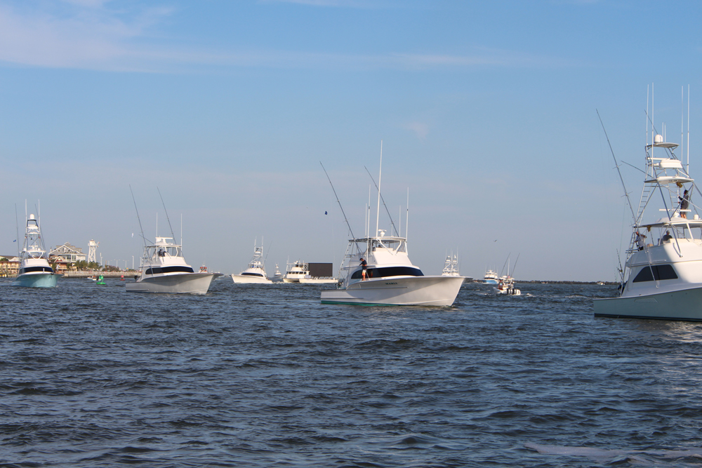 White Marlin Open: Photos from the weeklong event in Ocean City