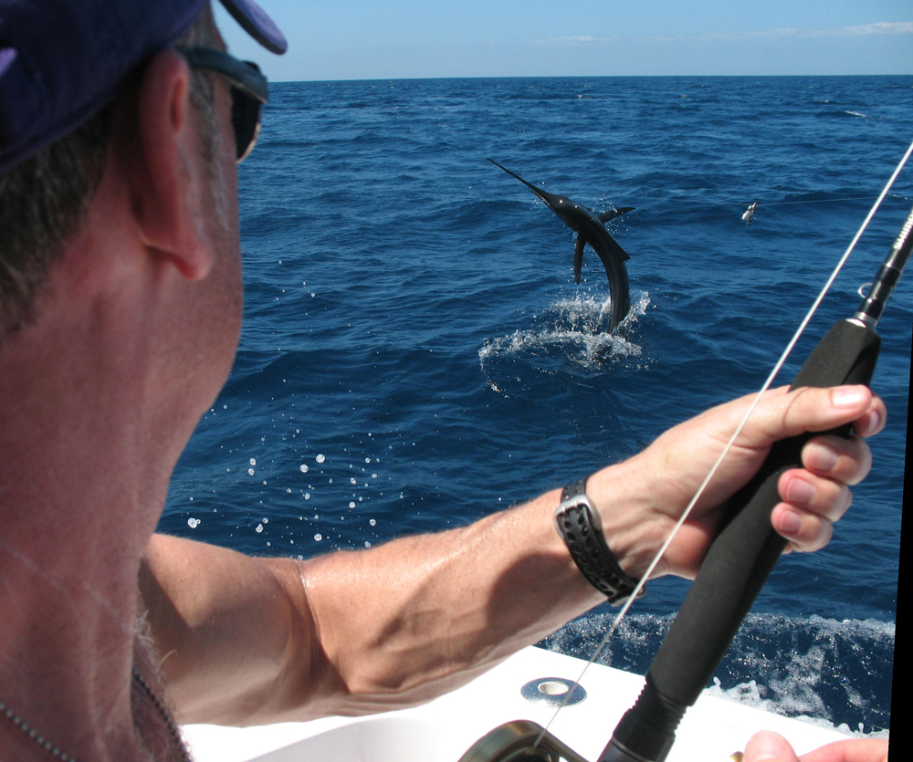 Mixing Lures and Natural Baits for Marlin Fishing