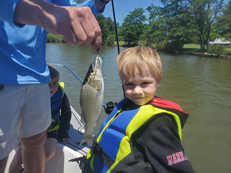 white perch on a perch pounder