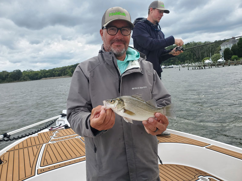 white perch caught near a duck blind