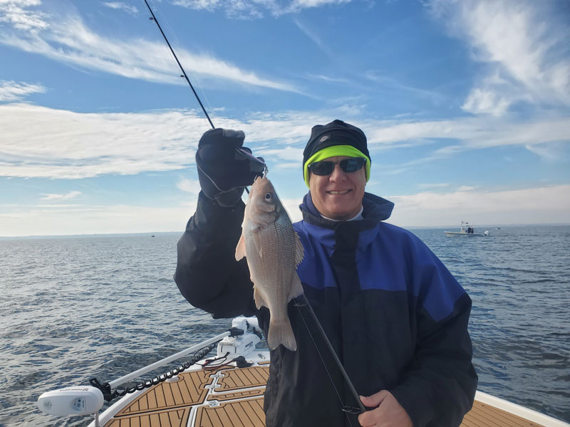 winter white perch fishing in the chesapeake bay