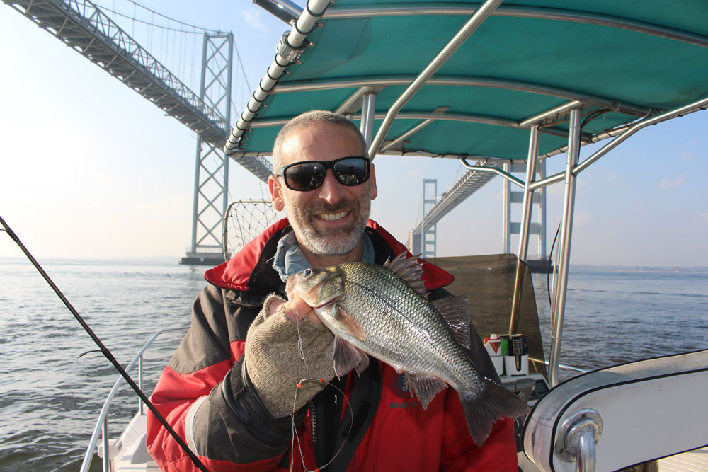 perch fishing at the bridge