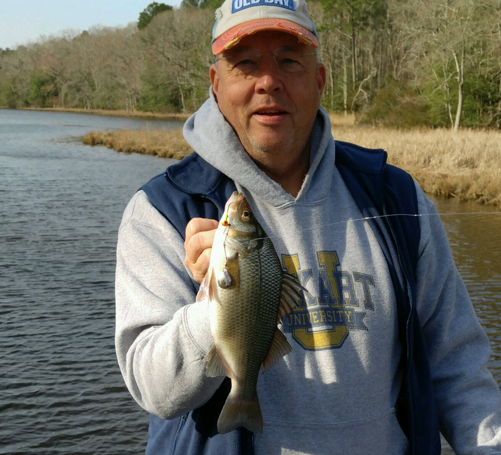 catching white perch