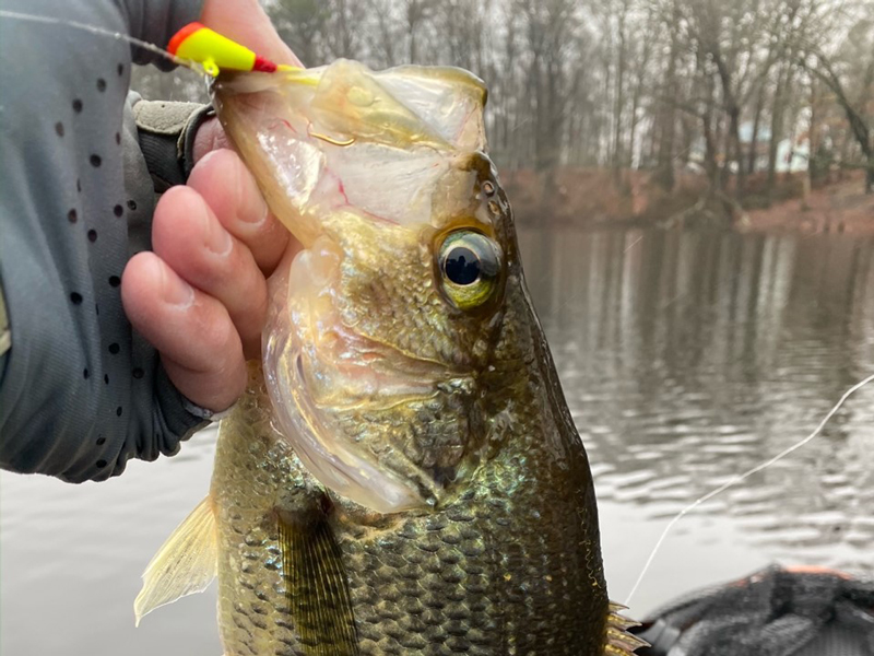 crappie fishing in winter