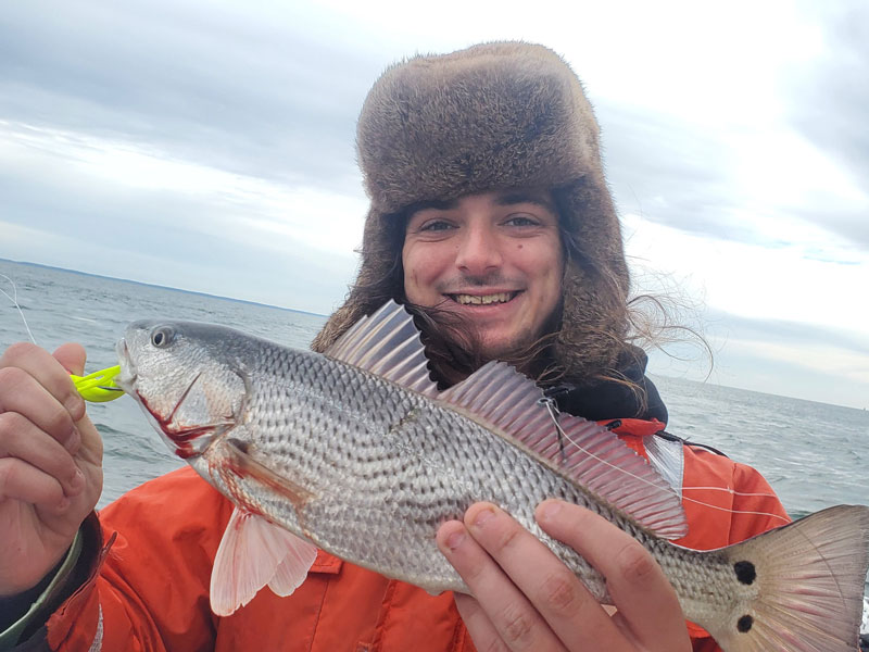 angler with a winter redfish from chesapeake bay