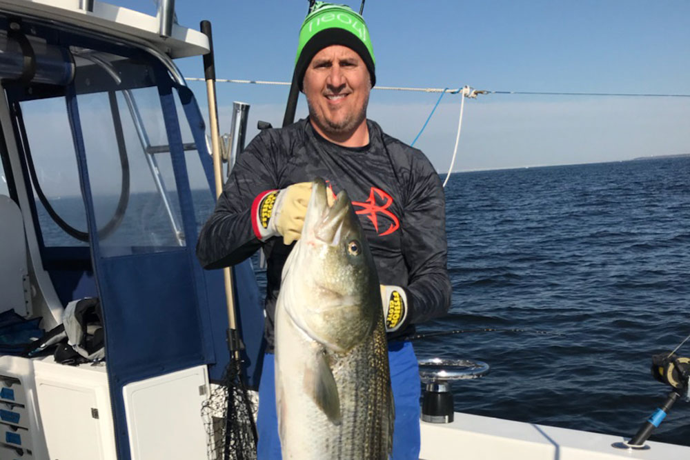 winter rockfish in chesapeake