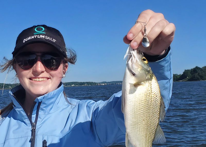 fishing for white perch in the chesapeake