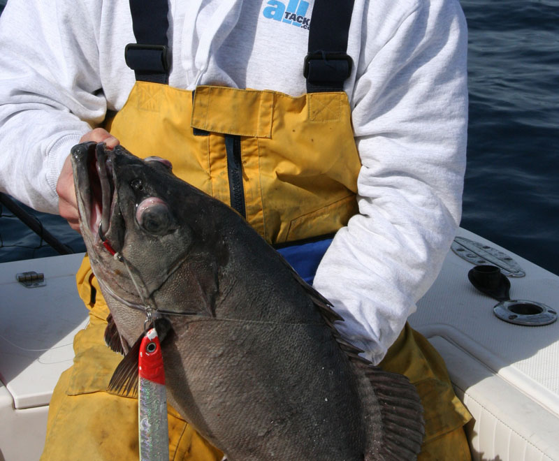wreckfish fishing