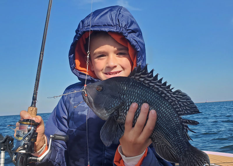 Chesapeake Bay Fishing Forecast: Spring 2019  Virginia Saltwater Fly  Fishing & Light Tackle Guide