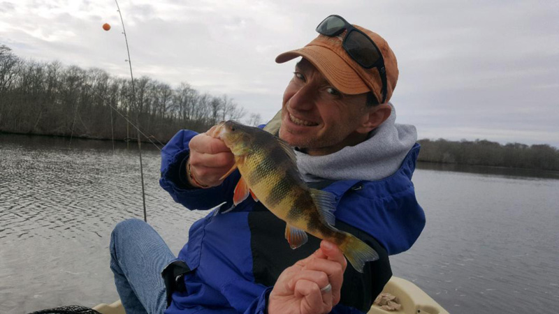 fishing for yellow perch in winter