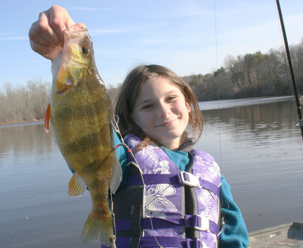 fishing for yellow perch in tidal rivers