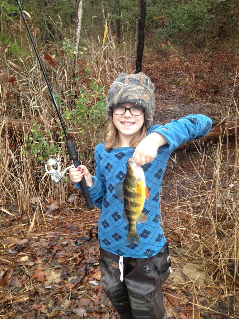 fishing for yellow perch