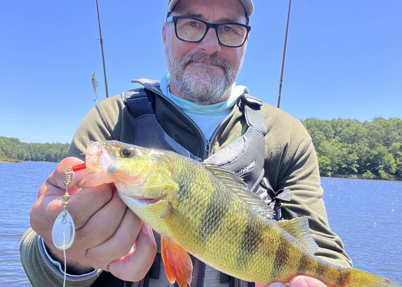 fishing for yellow perch in a lake