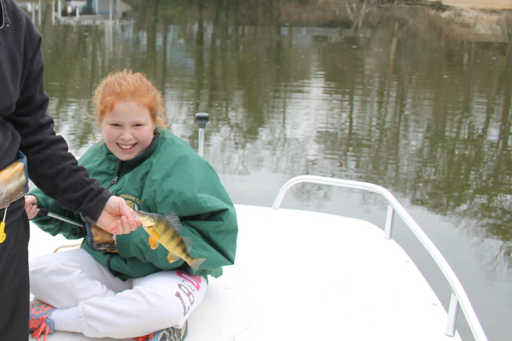 yellow perch fishing