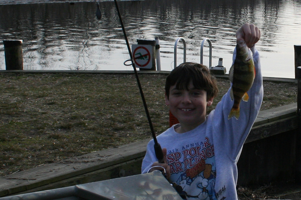 perch fishing