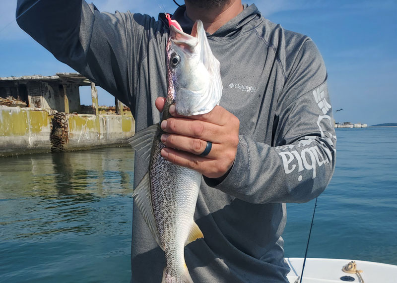 weakfish caught at the cement ships