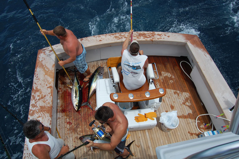 Yellowfin Tuna Fishing Tactics Part One: Trolling