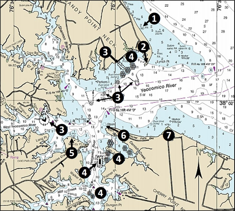 chart of fishing spots in yecomico river