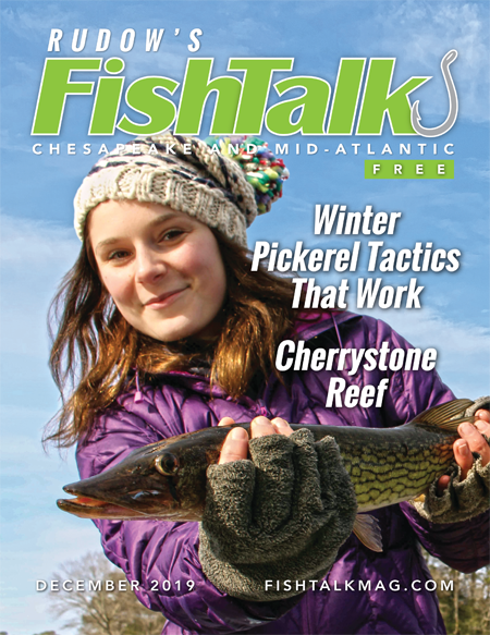 FishTalk Magazine December 2019 | FishTalk Magazine