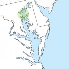 Upper Chesapeake Bay Fishing Map Upper Bay Fishing Reports | Fishtalk Magazine