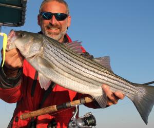 chesapeake light tackle