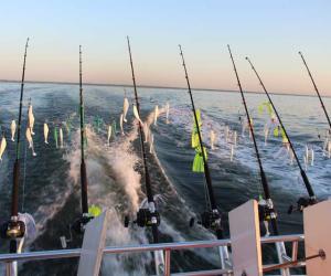 best bay fishing rods