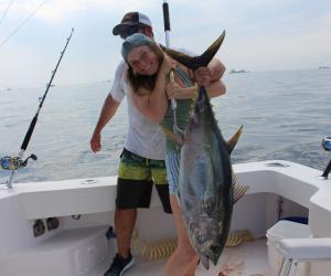 Yellowfin tuna  FishTalk Magazine